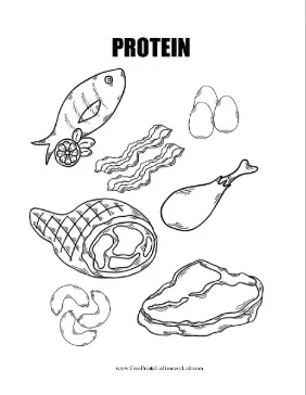 Protein Coloring Sheet