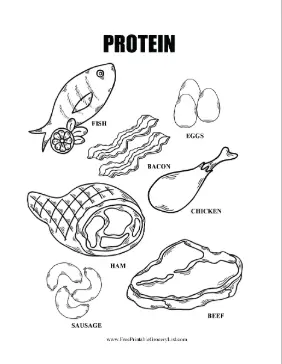 Protein Coloring Sheet Labeled